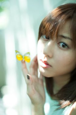 继承者们电视剧全集免费观看